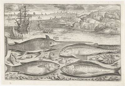 Vier Fische am Strand von Adriaen Collaert