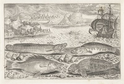 Vier Fische am Strand von Adriaen Collaert
