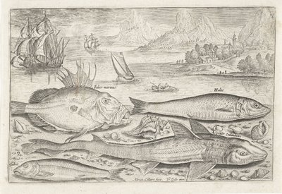 Vier Fische am Strand
Fische (Serientitel)
Piscivm vivae icones (Serientitel) von Adriaen Collaert