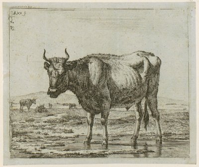 Im Wasser stehender Stier, Blatt 6 der Folge "Verschiedene Tiere" von Adriaen van de Velde