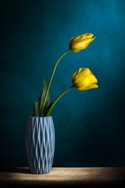 Elegante gelbe Tulpen von Adriana Vitale