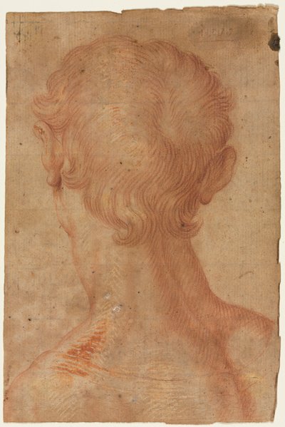 Männerkopf von hinten von Agnolo Bronzino