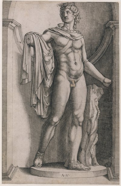 Speculum Romanae Magnificentiae: Apollo Belvedere, ca. 1514-36 von Agostino Veneziano