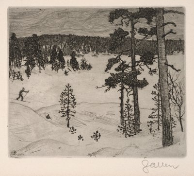 Der dunkle Schleier des Winters von Akseli Gallen-Kallela