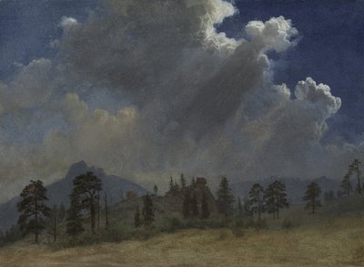 Tannen und Sturmwolken von Albert Bierstadt