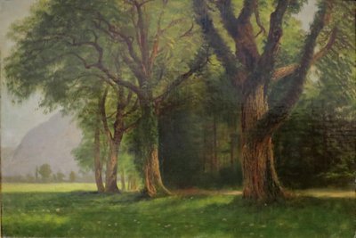 Im Tal des Yosemite von Albert Bierstadt