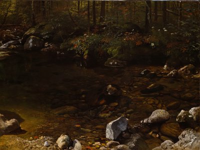 Schattiger Teich, Weiße Berge, New Hampshire, ca. 1869 von Albert Bierstadt