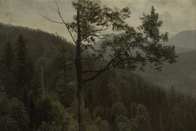 Baumbedeckte Berge von Albert Bierstadt