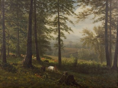 Blick auf eine Lichtung von Albert Bierstadt