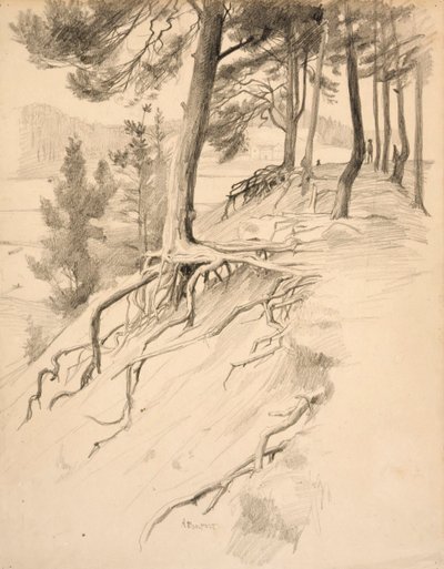  von Albert Edelfelt