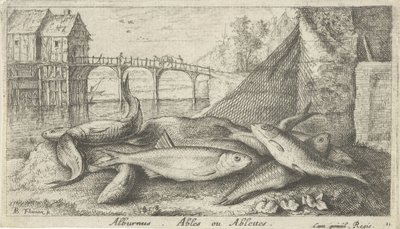 Alburnus am Flussufer von Albert Flamen