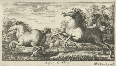 Pferde (Verschiedene Tierarten) von Albert Flamen