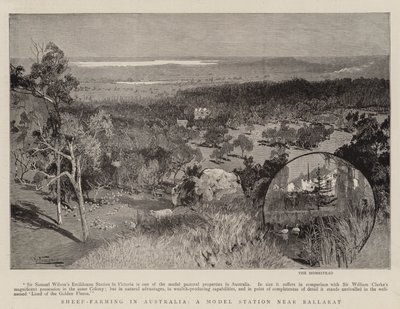 Schafzucht in Australien, eine Modellstation in der Nähe von Ballarat von Albert Henry Fullwood