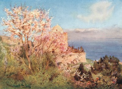 S. Giovanni Battista, Monte San Giuliano von Alberto Pisa