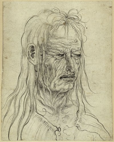 Kopf einer hässlichen Greisin, nach rechts von Albrecht Altdorfer