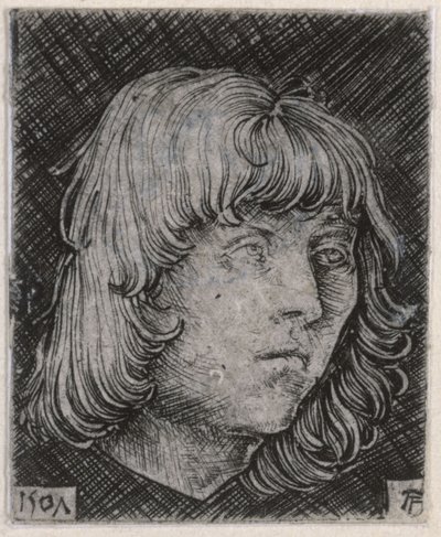 Kopf eines jungen Mannes von Albrecht Altdorfer