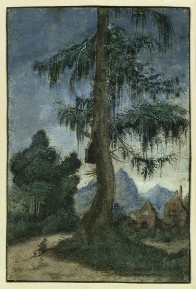 Landschaft mit Fichte von Albrecht Altdorfer