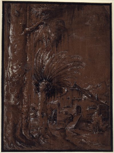 Landschaft mit Wassermühle von Albrecht Altdorfer