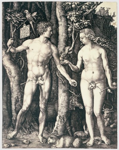 Adam und Eva von Albrecht Dürer