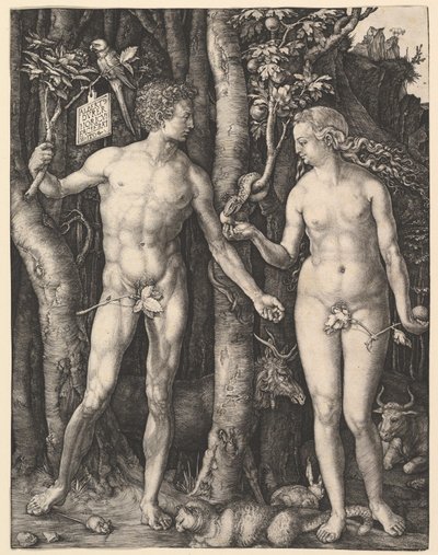 Adam und Eva von Albrecht Dürer