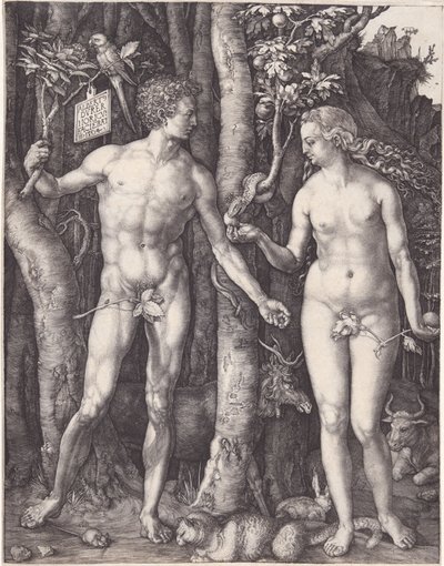 Adam und Eva von Albrecht Dürer