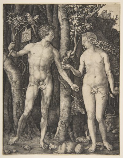 Adam und Eva von Albrecht Dürer