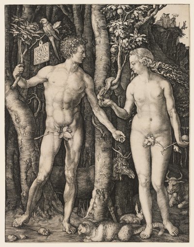 Adam und Eva von Albrecht Dürer