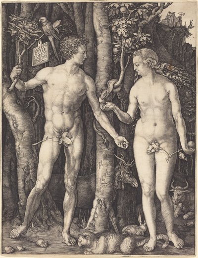 Adam und Eva von Albrecht Dürer