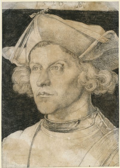 Brustbild eines jungen Mannes von Albrecht Dürer
