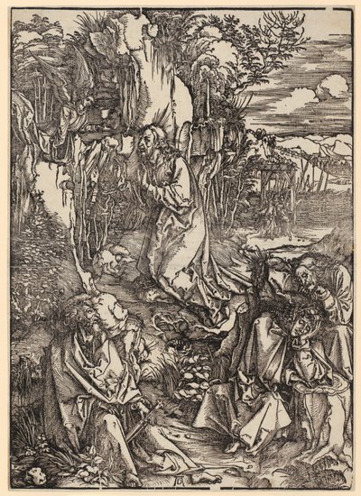  von Albrecht Dürer
