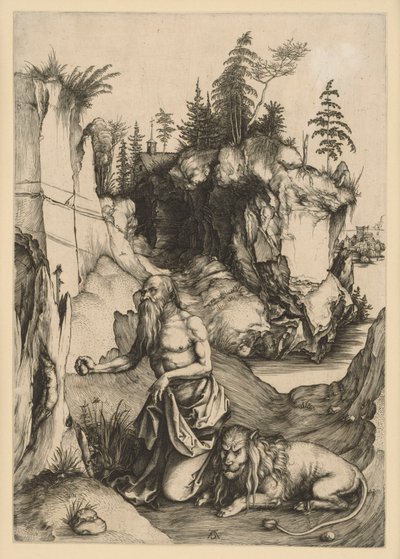  von Albrecht Dürer