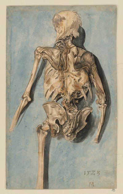 Ein halbverwester Leichnam in Rückansicht von Albrecht Dürer