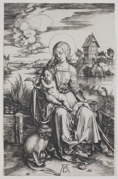 Madonna mit dem Affen von Albrecht Dürer