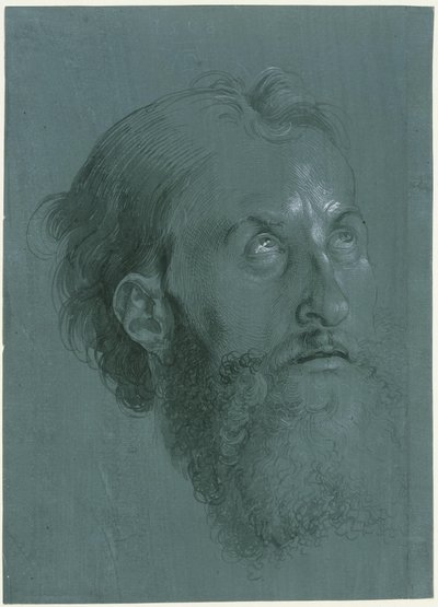 Nach rechts gewandter Kopf eines Apostels von Albrecht Dürer