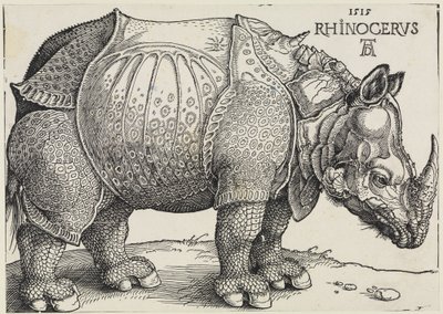 Das Rhinozeros von Albrecht Dürer