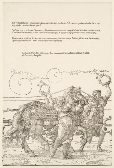 Der große Triumphwagen: Acrimonia und Virilitas von Albrecht Dürer