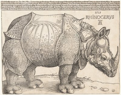Das Nashorn von Albrecht Dürer