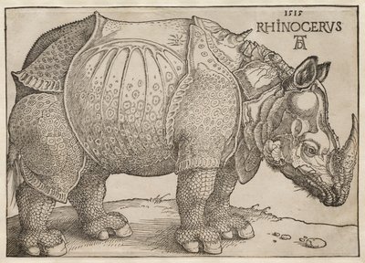 Das Rhinozeros von Albrecht Dürer