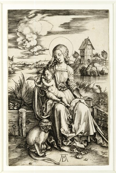 Jungfrau und Kind mit dem Affen von Albrecht Dürer