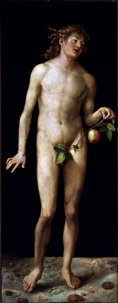 Adam von Albrecht Dürer or Duerer