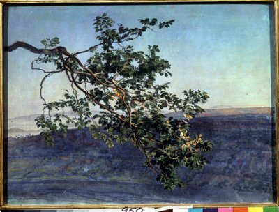 Der Ast von Aleksandr Andreevich Ivanov