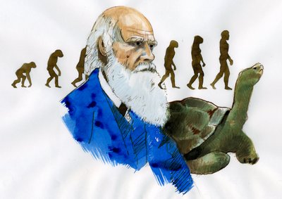 Porträt von Charles Darwin - Porträt des englischen Naturforschers Charles Darwin (1809-1882) von Alessandro Lonati