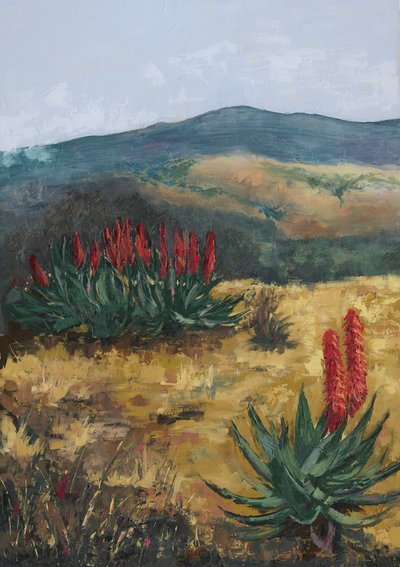 Rote Aloe-Wüstenhügel von Alex Cornell