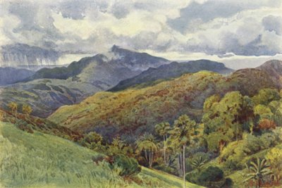 Die Berge von Pallekelly von Alexander Henry Hallam Murray