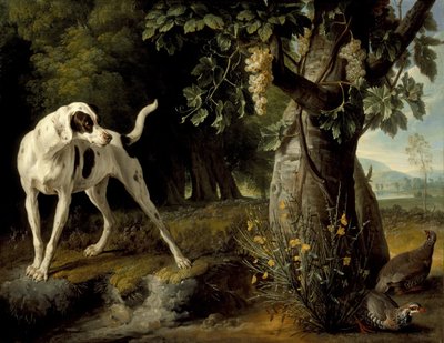 Landschaft mit Hund und Rebhühnern, 1719 von Alexandre Francois Desportes