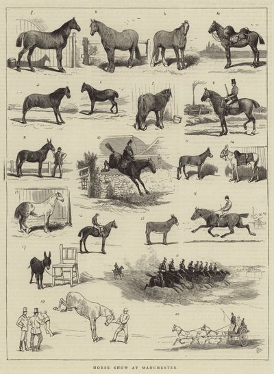 Pferdeschau in Manchester von Alfred Chantrey Corbould