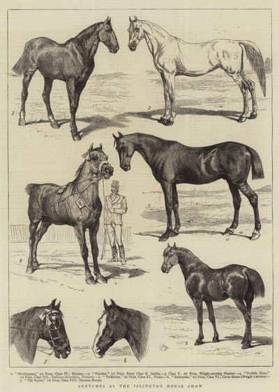 Skizzen auf der Islington-Pferdeschau von Alfred Chantrey Corbould