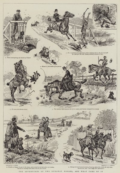 Die Abenteuer von zwei entlaufenen Pferden und was daraus wurde von Alfred Chantrey Corbould