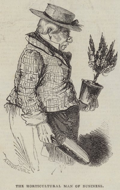 Der gärtnerische Geschäftsmann von Alfred Crowquill