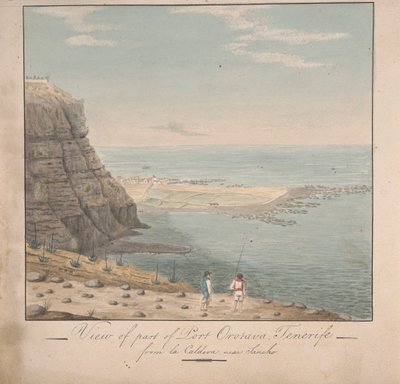Ansicht von einem Teil von Port Orotava, Teneriffa von La Caldeva, nahe Sancho von Alfred Diston